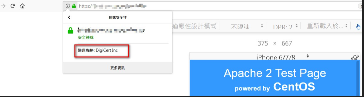 a網域